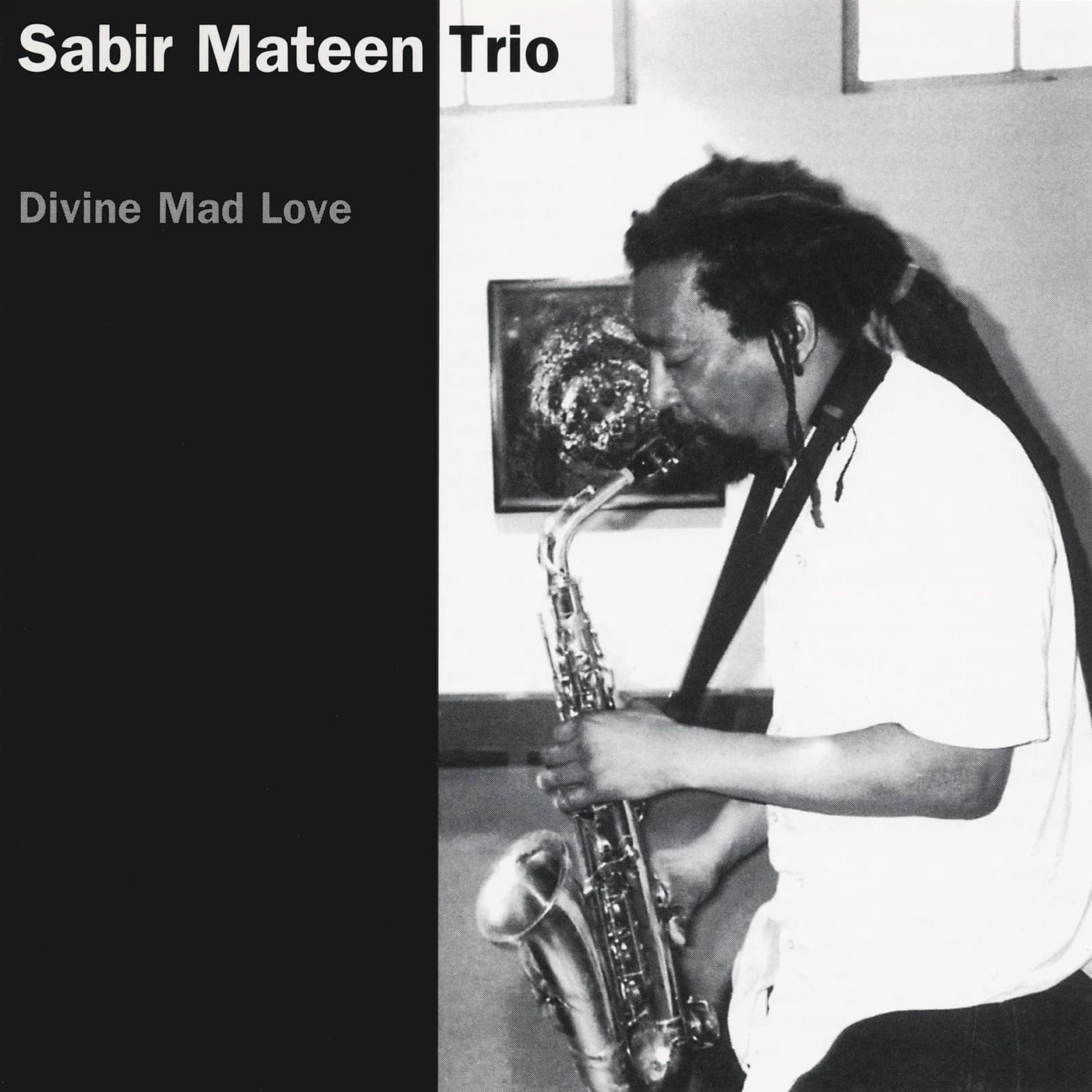 Sabir Mateen Trio - Divine Mad Love