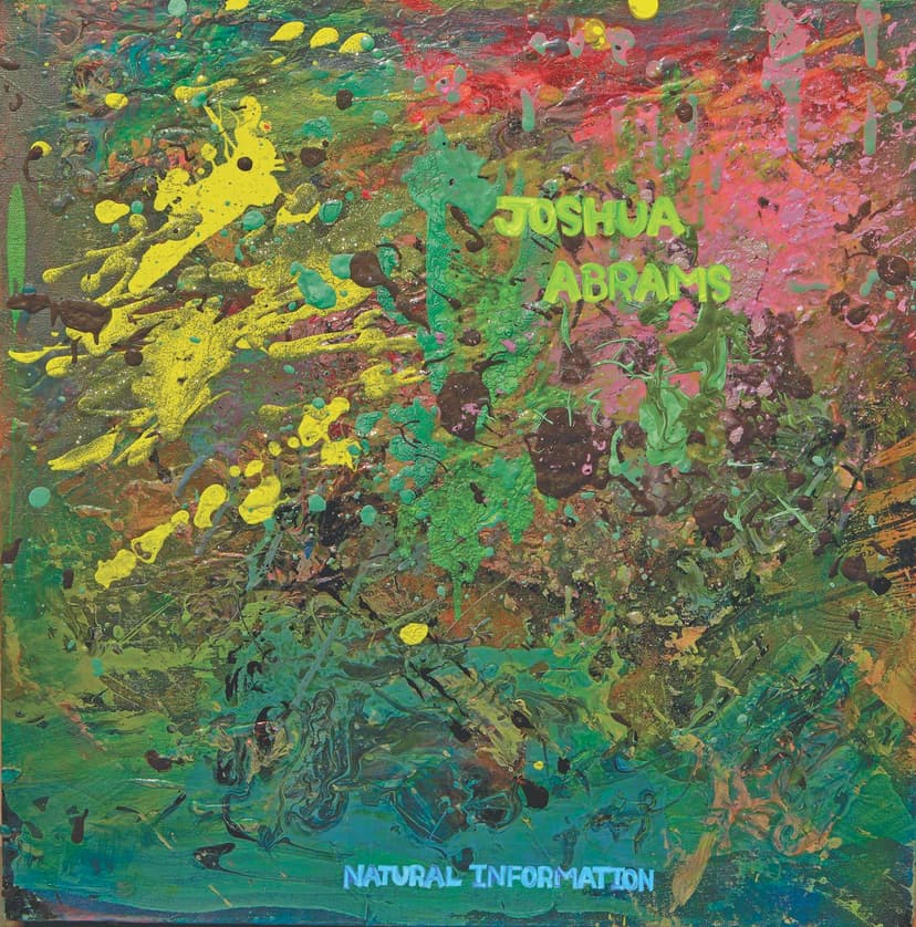 Joshua Abrams - Natural Information